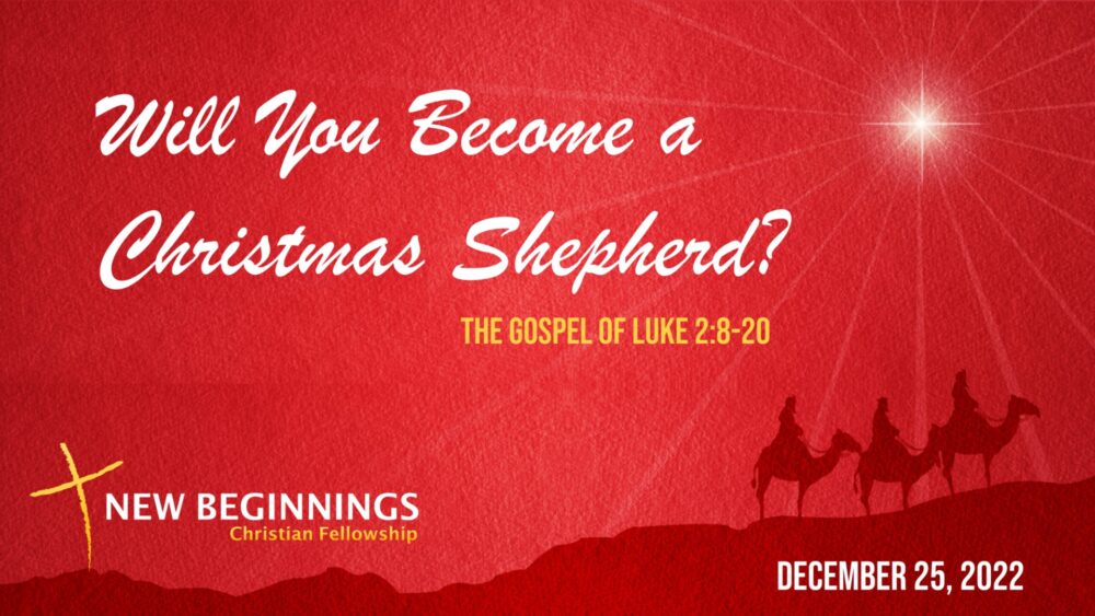 Will You Become a Christmas Shepherd?
