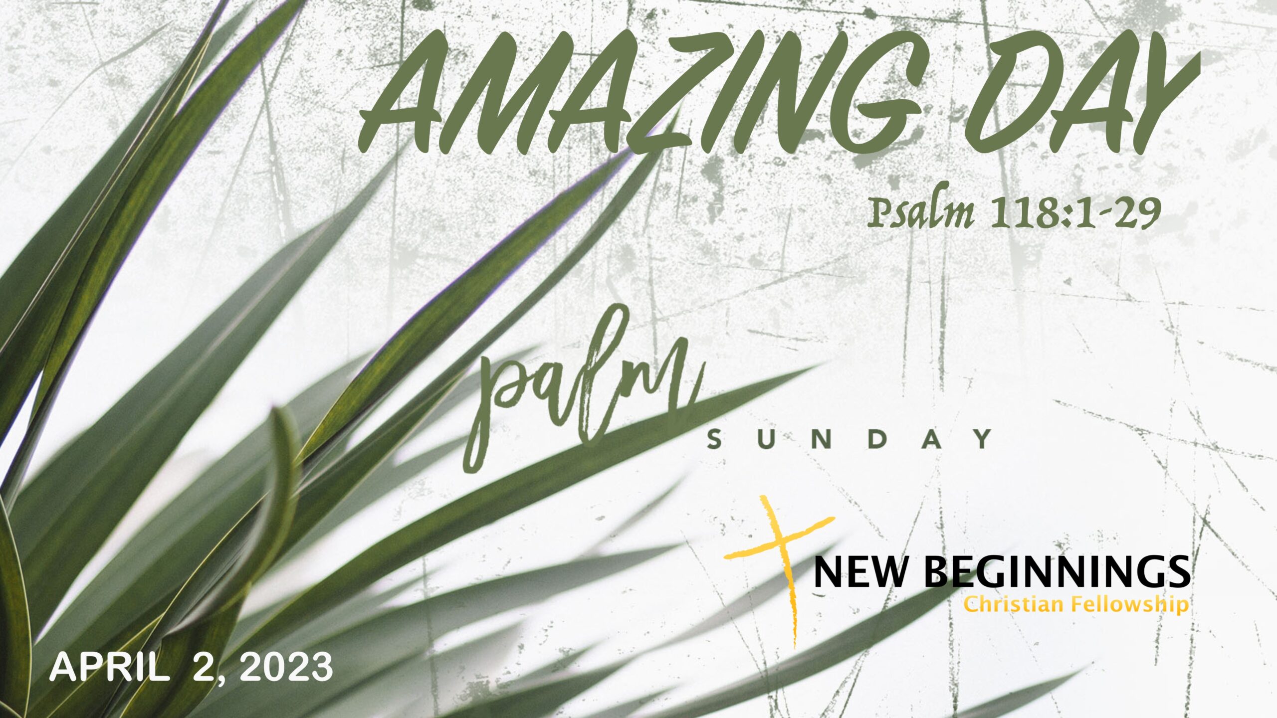 Amazing Day: Palm Sunday