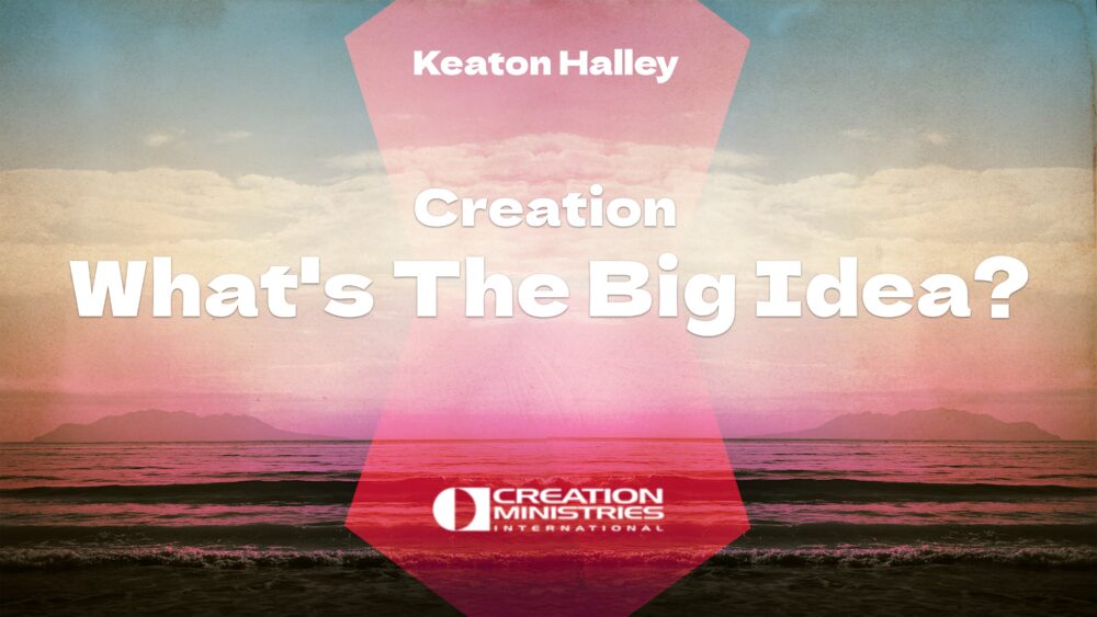 Creation: What's The Big Deal? Image