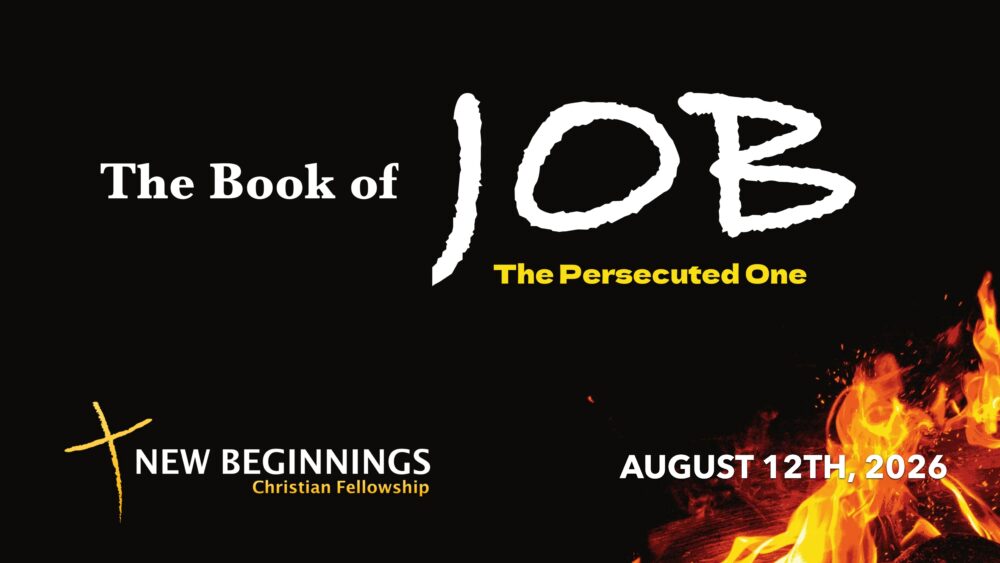 The Book of Job Chapters 10-13 Image