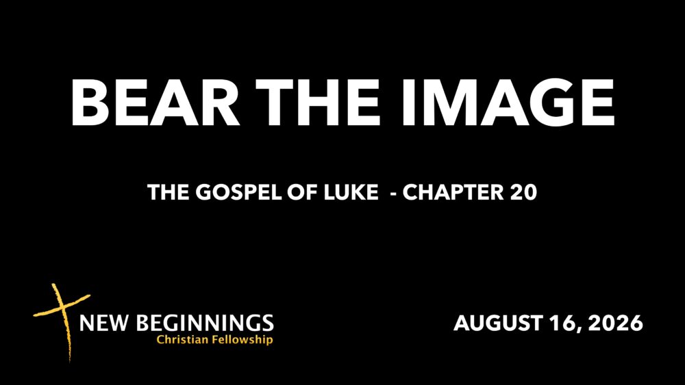 Bear The Image Image